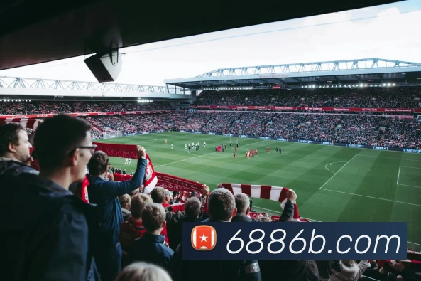 6686APP 封面图